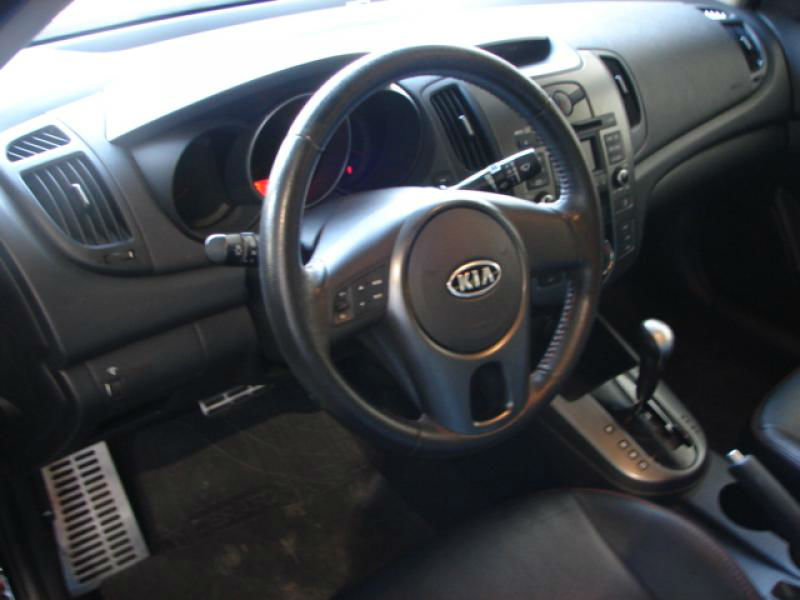 cerato preto 5