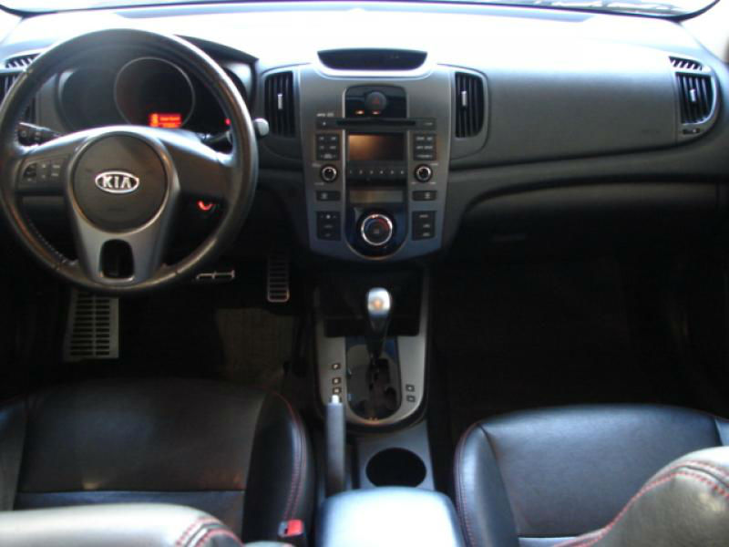 cerato preto 4