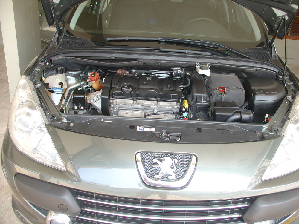 Peugeot 307 (07)